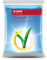 BAASF Polyram 400 Gm-image-19