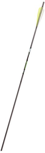 Flèches Gold Tip Velocity XT 500 lot de 6 flèches noires empennées 10,2 cm
