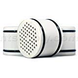 Paragon SFRC1 Replacement Cartridge (3 Pack)