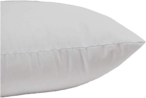 MoonRest 24x24 Inch Synthetic Down Alternative Square Pillow Insert Form Stuffer for Sofa Shams, Decorative Throw Pillow, Cushion and Bed Pillow Stuffing - Hypoallergenic 24“X 24”