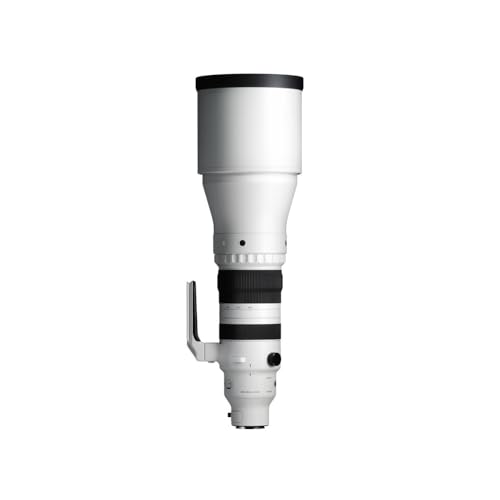 Image of 300-600mm F4 DG OS | Sports