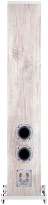 HECO Aurora 700 Floorstanding Speaker, rear view showing ports and terminals