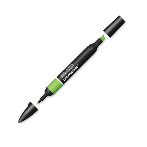Image of Winsor & Newton Promarker, Alcohol Based Markers, Bright Green (G267), Double Tipped Drawing Marker for Artists, Graphic Designers, Illustrators - Chisel & Fine Twin Tip, Streak Free Coverage
