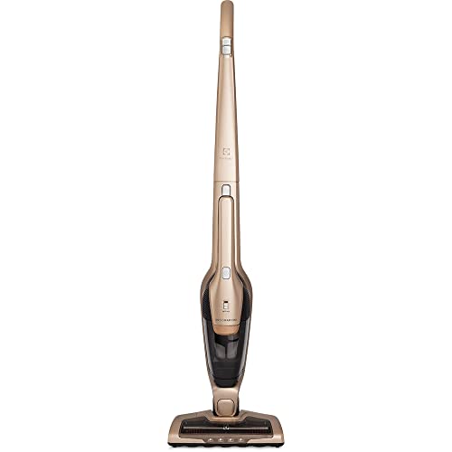 Electrolux ERG26 (vertical sem fio)