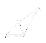 Direct Frame Bicycle Parts Carbon MTB Marco De Bicicleta Fibra Carbono(Whitered)