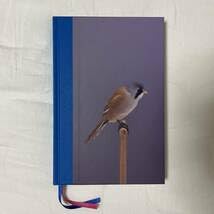 【美品】Luke Stephenson 作品集【希少本】 美品】Luke Stephenson 作品集【希少本】