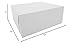 SCT White One-Piece Non-Window Bakery Boxes, 12 x 12 x 5, White, Paper, 100/Carton