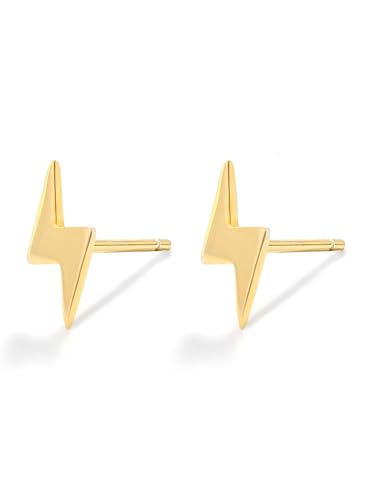 Image of Solid 925 Sterling Silver Stud Earrings for Women & Men, Hypoallergenic 18K Gold Plated & Silver Small Studs, Minimalist Elegant Earrings for Birthday, Party, Daily Gift