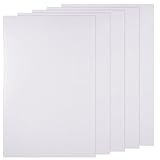 5 Pcs 0.5 mm Thick Custom Fursuit Eye Mesh White PVC Plastic Net Waterproof Printable Mesh Canvas Sheets for Furries Cosplay Props Fursuits Craft Making Craft Making Sculpting Supplies 11.8×7.8“