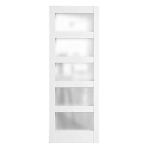 ARKHJEM Glass Sliding Barn Door 30''x84'' Sturdy Barn Door Slabs, Assembly Needed, Barn Doors for Home 5 Panel of Frosted Glass Easy Installation for Living Room Bathroom (No Hardware Include)
