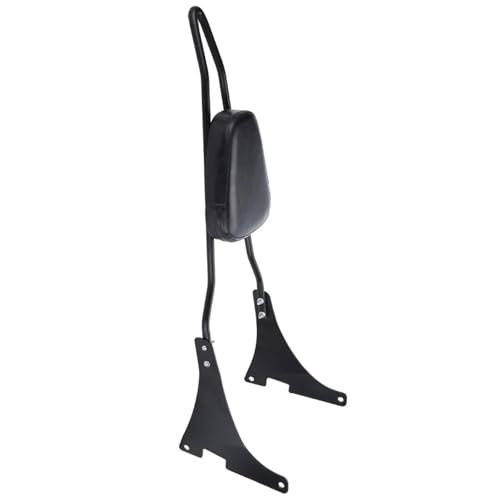 Porte-bagages rigide Sportster finition premium pour custom 883 1200