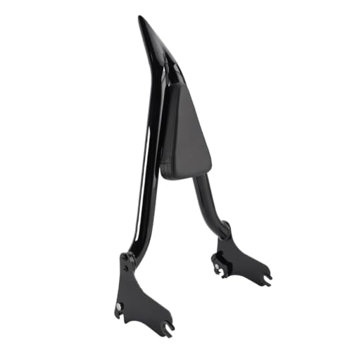 Coussin Porte-bagages Moto Grand Confort avec Dossier Ergonomique Passager