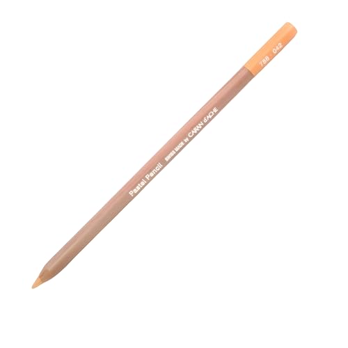 Caran D'ache Pastel Pencils - flesh (788.042)