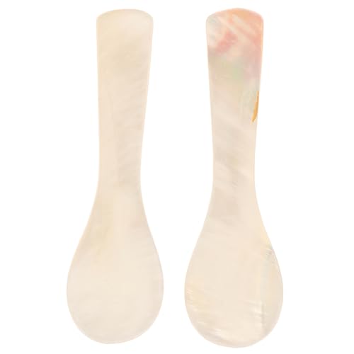 Alipis Spoons 2pcs Asian Style Spoons for Caviar Condiments Jams Ice and Dessert Presentation