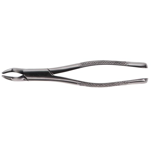 House Brand Dentistry 300286 HSB Dental Extraction Forceps #10S