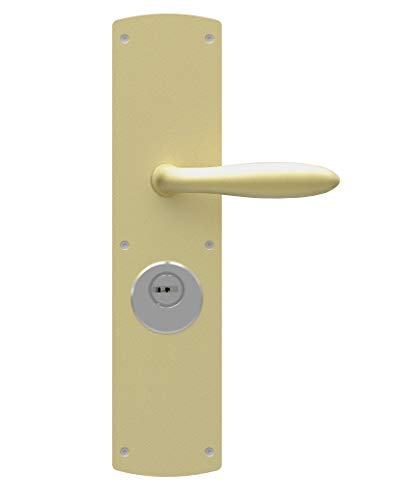 Bricard 66690 Demi-Ensemble pour Porte extérieure à béquille pour Série 74 Version A2P, Coloris Champagne