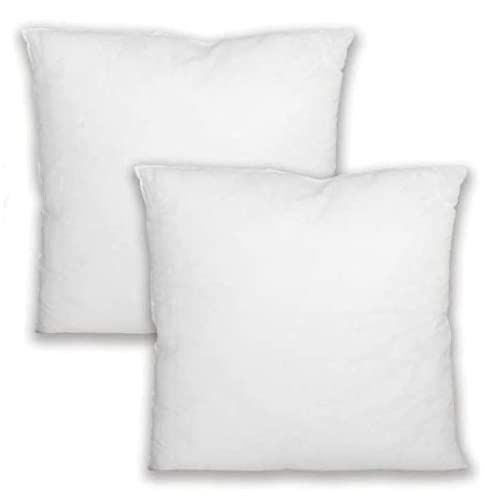 YDBAO Rellenos de Cojin de 2 Piezas Blanco Cover