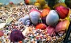 Generic4x Mixed Mystery Snail, Blue, Pink, Purple, Ivory Live Algae Eater for Tropical Aquarium, 3-4cm, Pomacea bridgesii