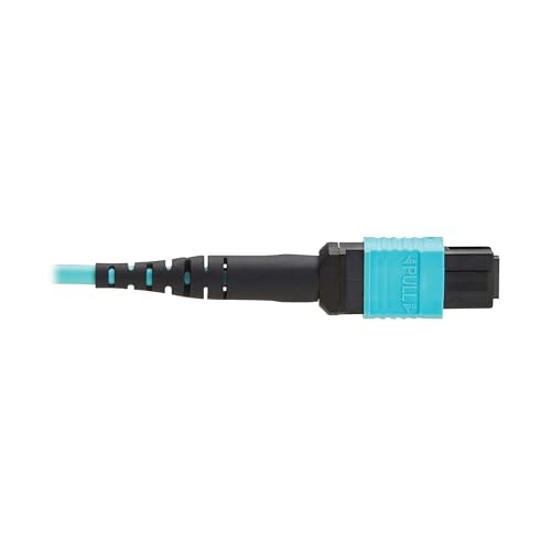 Image of Eaton Tripp Lite Series 1 Meter OM4 50 /125 Fiber Optic Cable, 100G Multimode (12F MPO /MPO-PC Female-to-Female) Type-B Polarity, OFNP Jacket, Aqua, TAA Compliant (N845B-01M-12TAA)