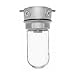 RAB Lighting Vaporproof Outdoor Close to Ceiling Light
