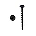 Black Philips Bugle-Head Coarse Thread Sharp Point Drywall Screw 1-1/2" (100/pk)
