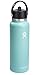 Hydro Flask 40 Oz Wide Flex Straw Cap Dew