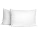 Tesosy Pack 2 Relleno de Almohada 40 X 70 cm Almohada de Fibra Virgen Hueca Siliconada Suaves y Indeformable, Almohada para Cojines de Sofá o Almohadones (40*70cm Pack 2)