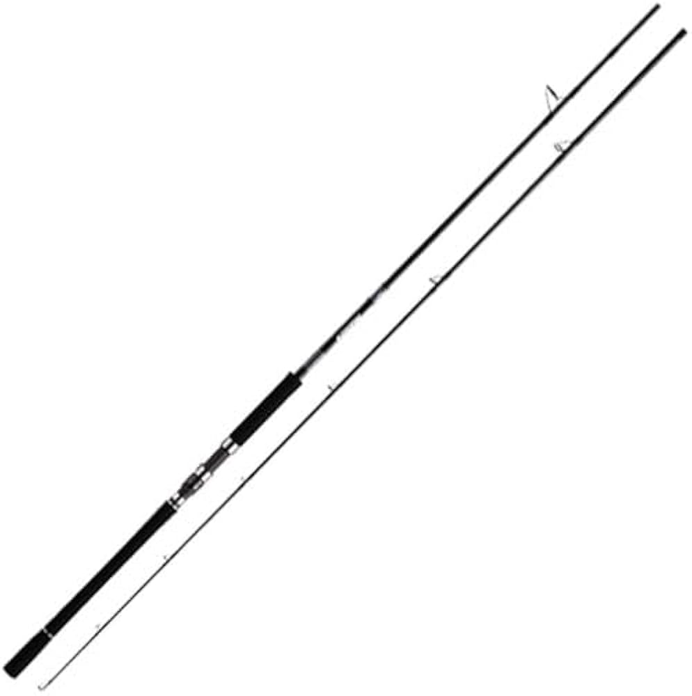 Daiwa DRAGGER X 100H-3 Shojiging Rod : Amazon.com.au: Sports