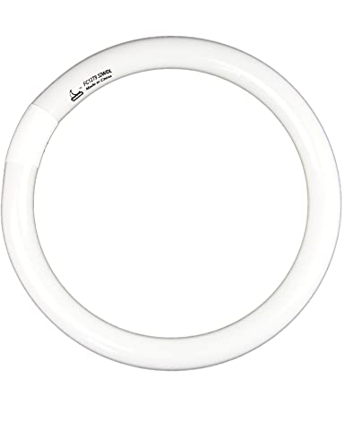 Chkadawa Circline Fluorescent Lamp Fc12T9/Dl, 12 Inch T9 32W Circular Light Bulb Replacement For Circle Ceiling Fixture, 1750 Lumens Round Daylight 6500K Tube, G10Q 4 Pin Base, 2 Pack #TOP2