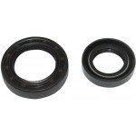 Guarnizione P.F.Welle 32600