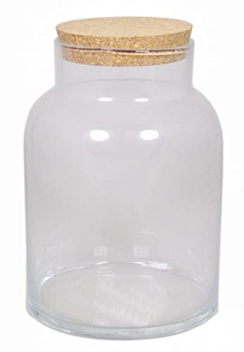 innaGLAS Bocal à provisions ALUKA avec Bouchon, Transparent, 31 cm, Ø 21 cm - Bocal de Stockage