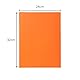 Paquet 100 chemises nature future jura 160