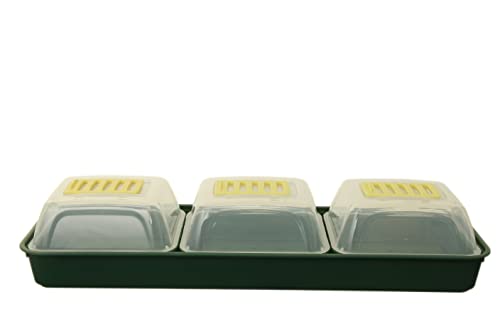 ACCURATE 7 Piece Windowsill Propagator Set Made Ideal for home growing organic fresh fruit, vegetables and herbs in Green Colour (1)