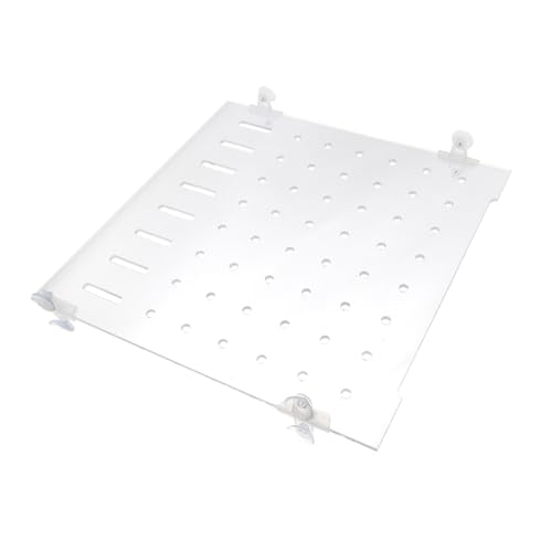 iplusmile 1 セット 水槽 板 ボード フィルター 関税 水族館の水槽の仕切り 分周器 皿 フィッシュボウル 戦車 魚の水族館 バリア 熱帯魚 金 と Transparent