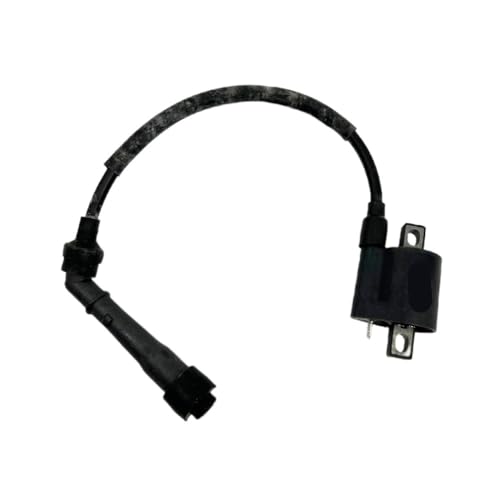 Bobina de encendido para mantenimiento de ATV JS400 Quad de 400 cc