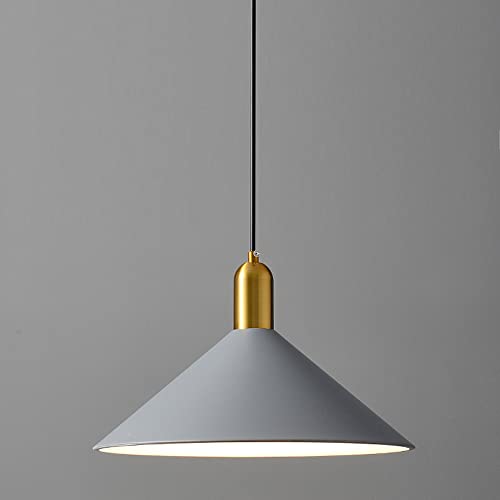 Plafond suspendue métal laiton brossé pour luminaire de restaurant salon