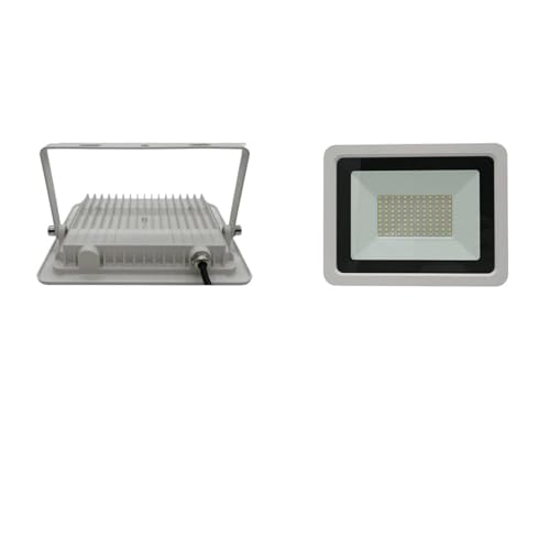 Projecteur LED blanc 10W PIRKO projecteur d'éclairage extérieur mural IP68