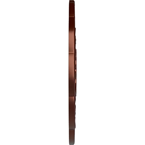 Image of Ekena Millwork CM17TSACSDecorative Ceiling Medallions Modeled After Original Historical Patterns & Designs, Antique Copper