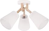 Breite: 420mm, Höhe: 310mm, Länge: 420mm,