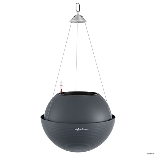 LECHUZA BOLA Color 32 schiefergrau 16864