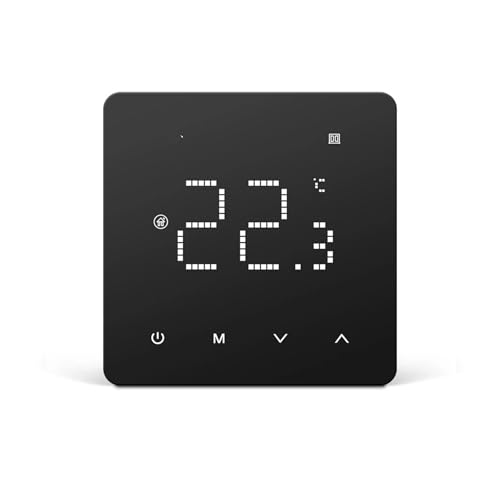 Chauffe-eau et chaudière à gaz WP 3A avec thermostat programmable