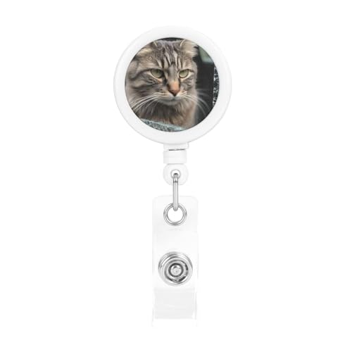 Cat Smashs(LbgX}bVY) ԓKX i[IDobWz_[ obW[ Nbvt 킢hz_[ ItBX[J[ t Ōt 搶p