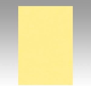 （業務用セット） 文運堂 ニューカラーR 八ツ切 横271&times;縦392mm 8NCR-101 クリーム 100枚入 【&times;2セット】 生