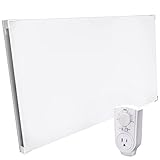 EconoHome Wall Mount Space Heater Panel with Heat Guard with Nano Binder - with Thermostat - 600 Watt Convection Heater - Ideal for 200 Sq Ft Room - 120V Electric Heater