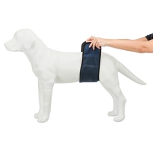 TRIXIE Windeln für Rüden, Mesh-Material, S–M: 37–45 cm, dunkelblau