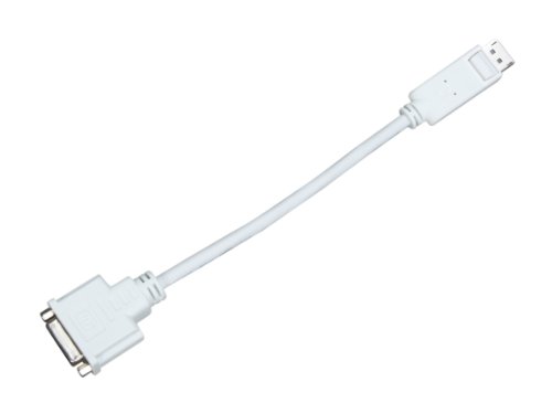Display Port vers DVI câble adaptateur 25,4 cm pour double écran PC fixe et moniteur HD