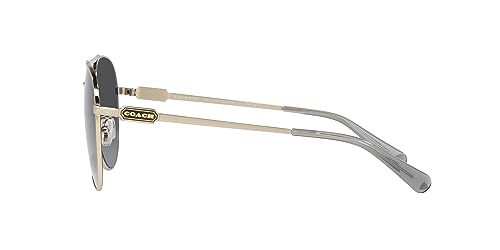 Coach Women's Hc7140 Aviator Sunglasses4