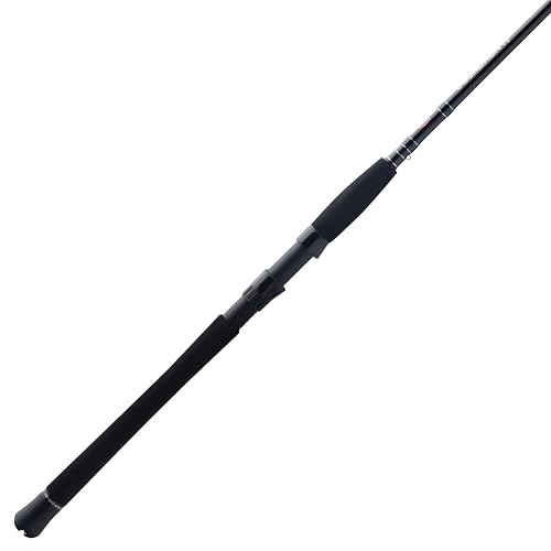 Penn Squadron IV Inshore Spinning Rod