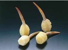 Ⓚ킢@4i킢}E킢ZEP킢ZEP킢}j (P킢}@30)