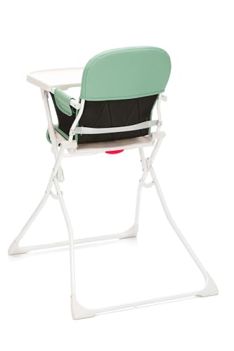 Fillikid Hochstuhl Tom Exklusiv, Kinder Hochstuhl ab 6 Monate bis 15 kg, Klappbarer Hochstuhl, mit Tisch, Einhändig Verstellbare Rückenlehne, Ultra Leicht, Klappbar Tisch 5-Punkt Gurt